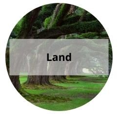 Palm Coast Land For Sale